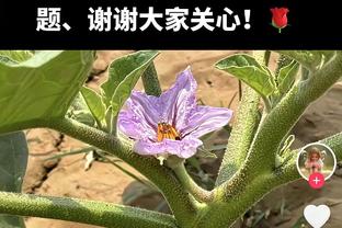 状态不错！探花秀亨德森半场11中6&三分3中2砍下14分4板3助2帽